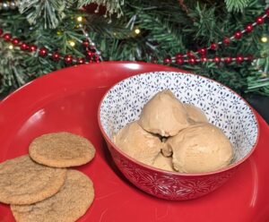 Gingerbread Spice T 3