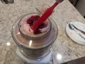 Raspberry ice cream (101)