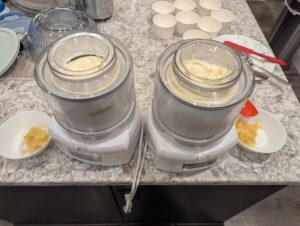 Pineapple Ice Cream (10)