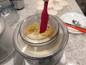 Pineapple Ice Cream (6)